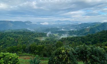 Discover Sri Lanka