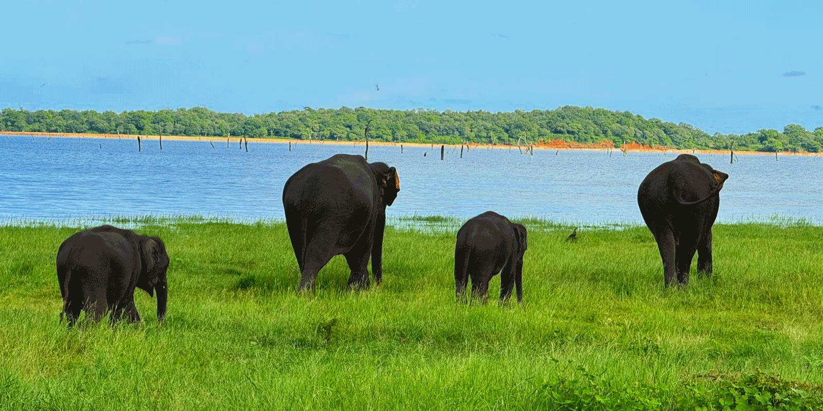 is 2 weeks too much in sri lanka?