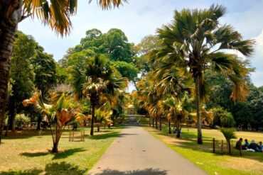 Peradeniya Botanical Garden