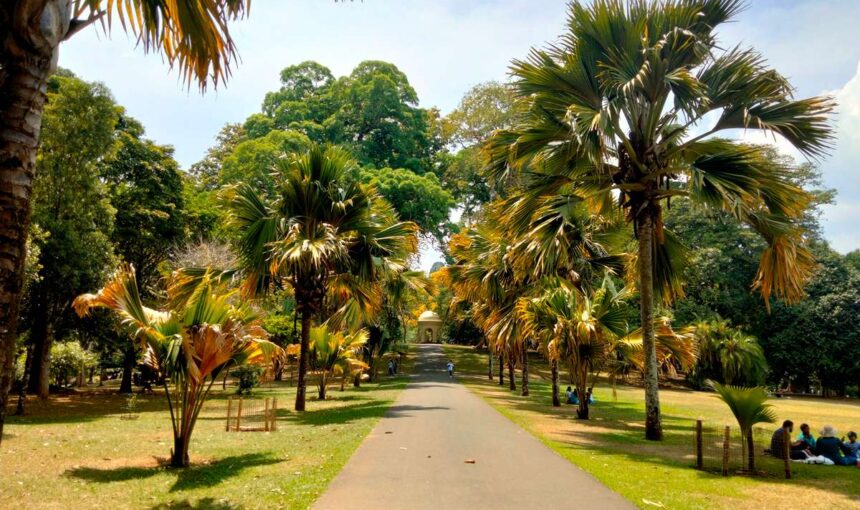 Peradeniya Royal Botanic Gardens