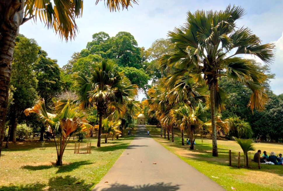 Peradeniya Botanical Garden