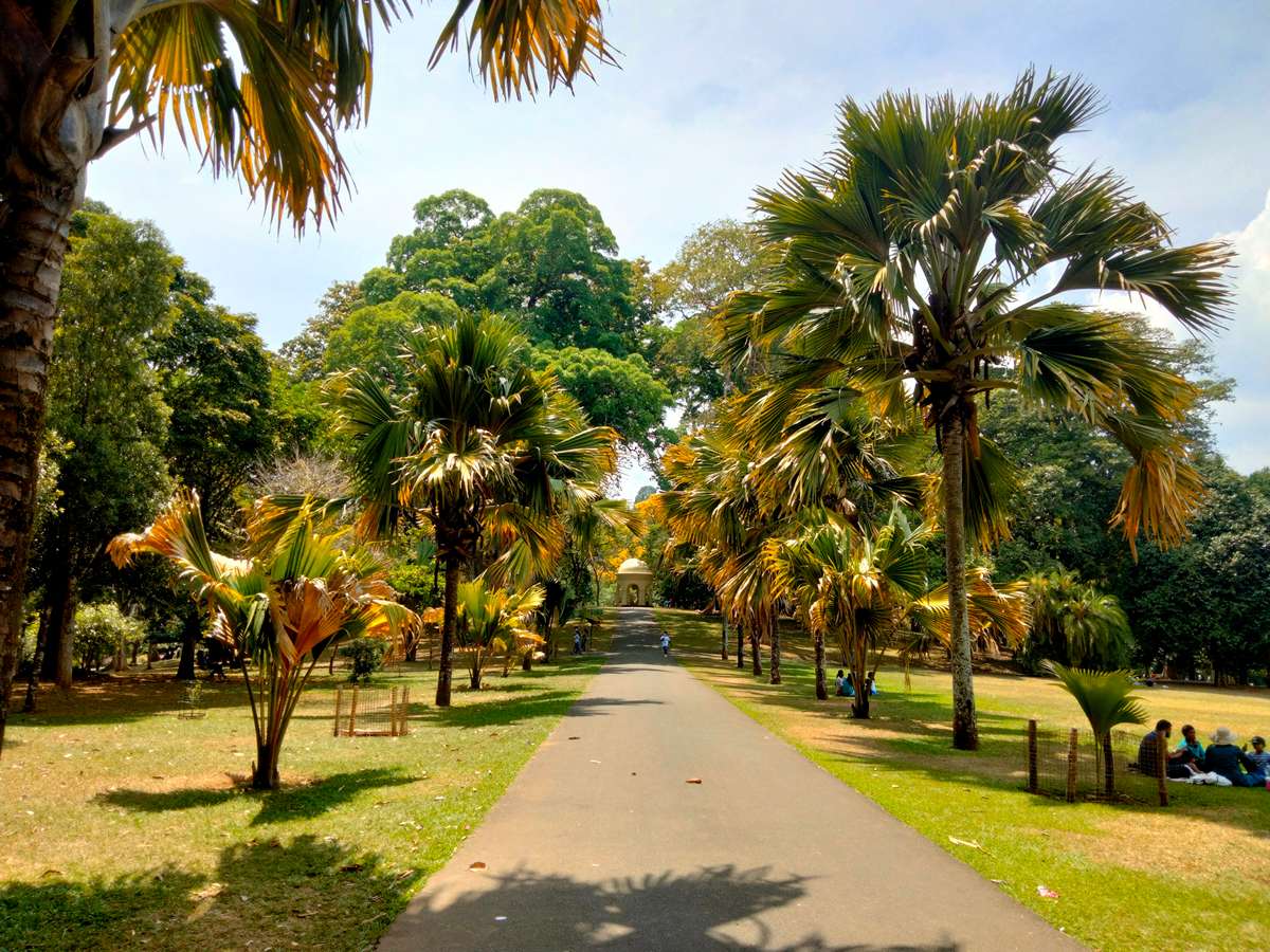 Peradeniya Botanical Garden